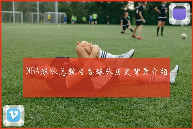 NBA球队总数与各球队历史背景介绍