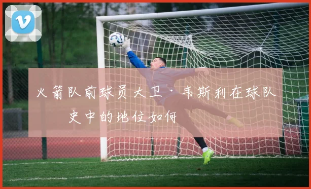 火箭队前球员大卫·韦斯利在球队历史中的地位如何