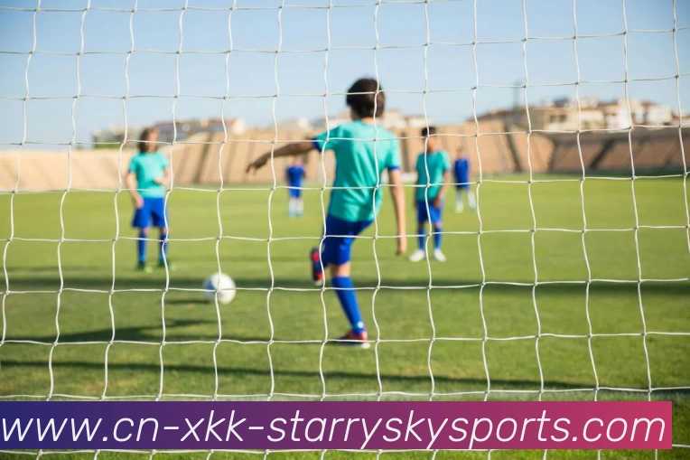 星空体育服务体系